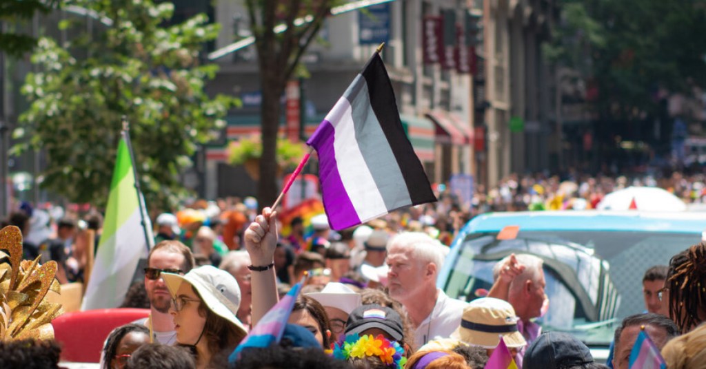 Large crowd of folks with one person holding up the asexual flag
