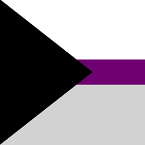 Demisexual flag